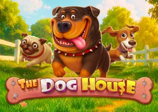 เกมไพ่ดัมมี่ The Dog House ทดลองเล่นฟรี
